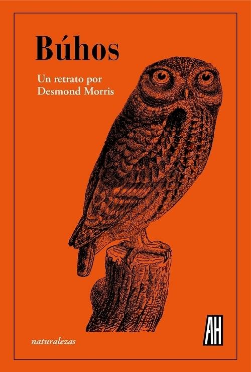 Búhos "Un retrato"