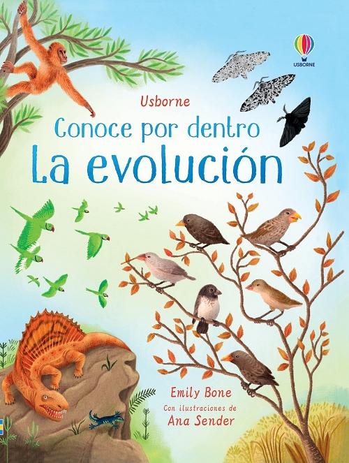 La evolución "(Conoce por dentro)"