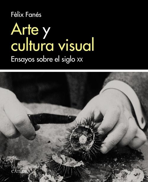 Arte y cultura visual "Ensayos sobre el siglo XX". 