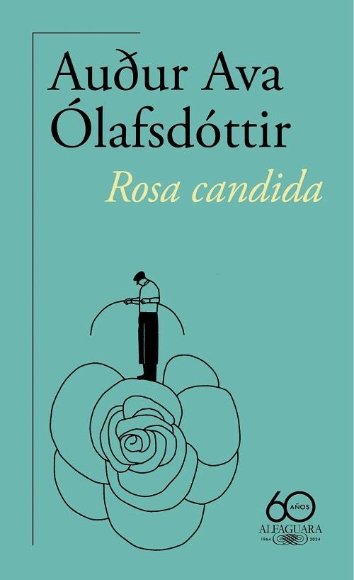 Rosa candida "(60 años)". 