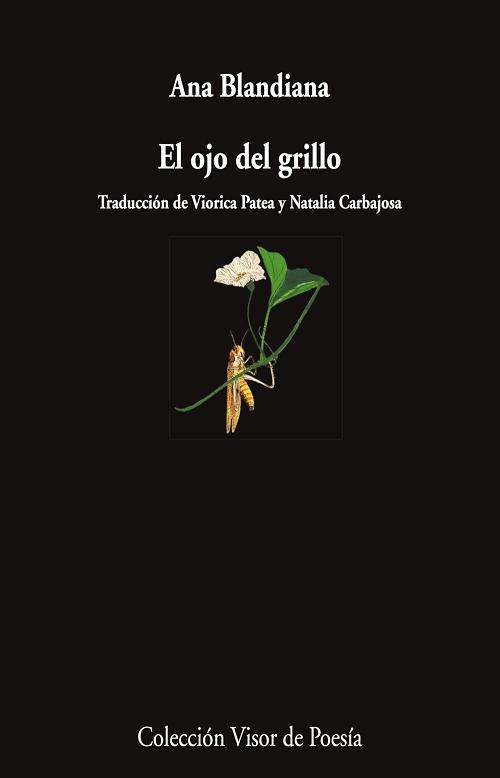 El ojo del grillo. 