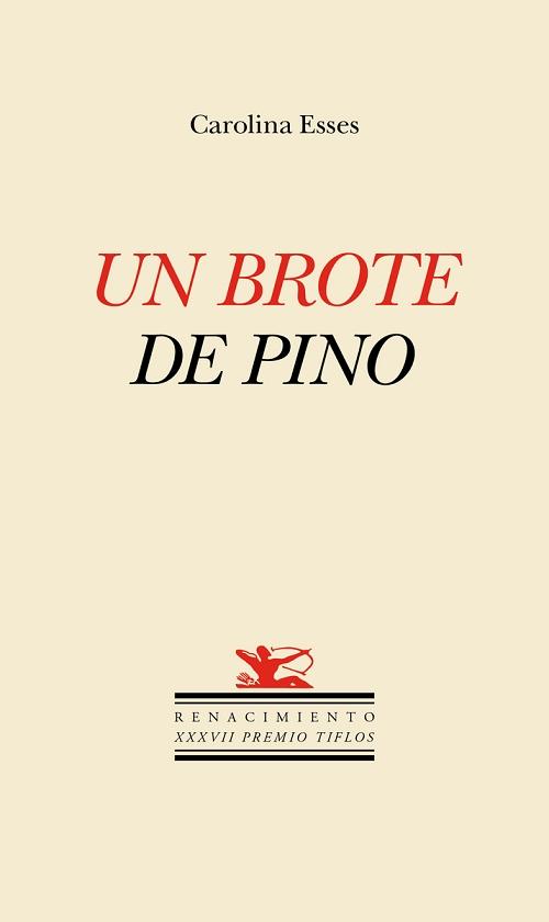 Un brote de pino. 