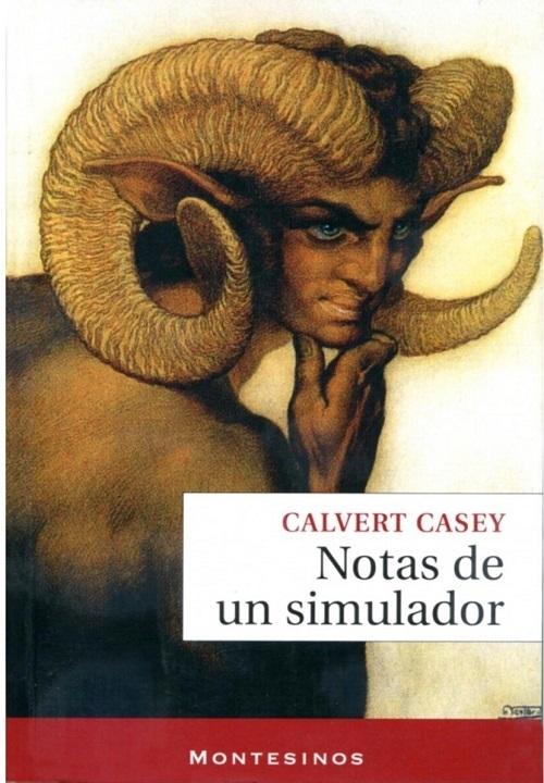 Notas de un simulador