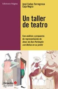Un taller de teatro "Con análisis y propuesta de presentación de <Amor de Don Perlimplín con Belisa en su jardín>"