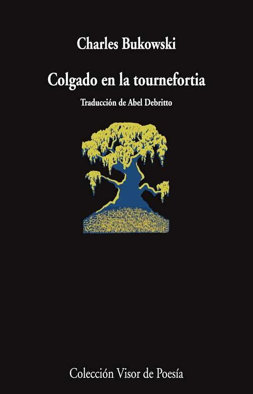 Colgado en la tournefortia