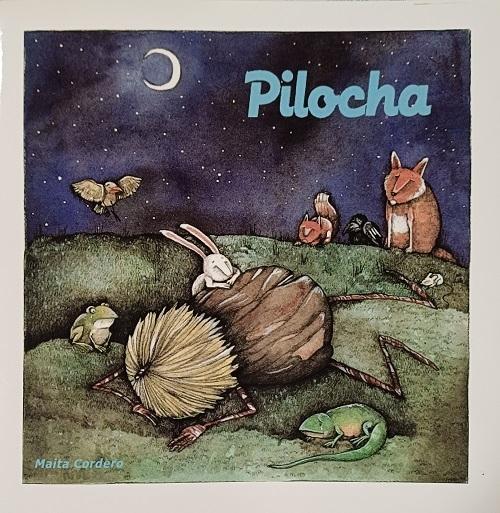 Pilocha