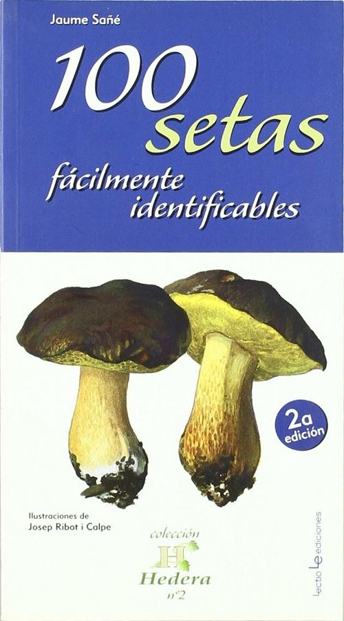100 setas facilmente identificables