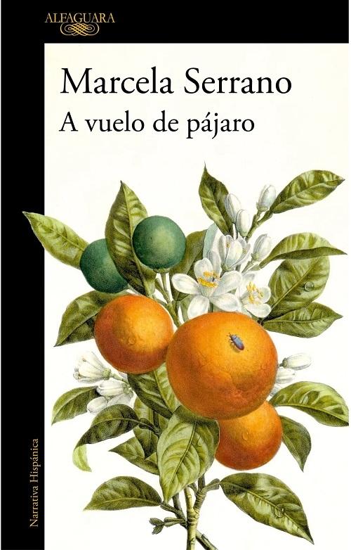 A vuelo de pájaro "Cuadernos"