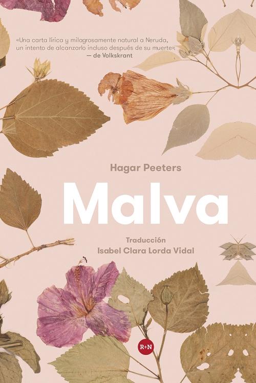 Malva.