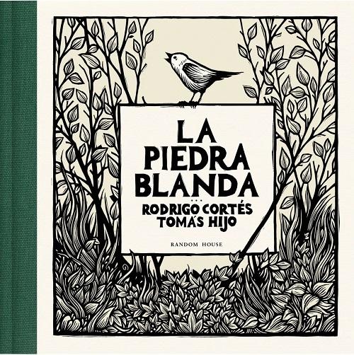 La piedra blanda
