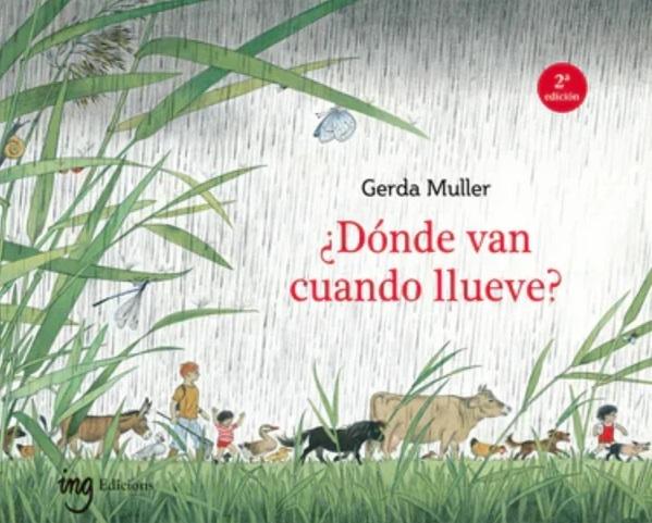 ¿Dónde van cuando llueve?
