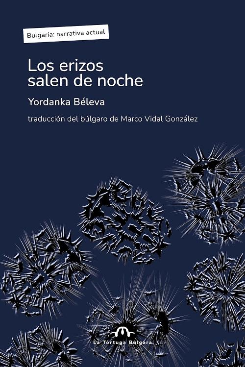 Los erizos salen de noche