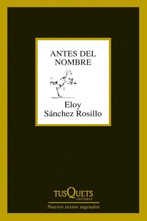 Antes del nombre