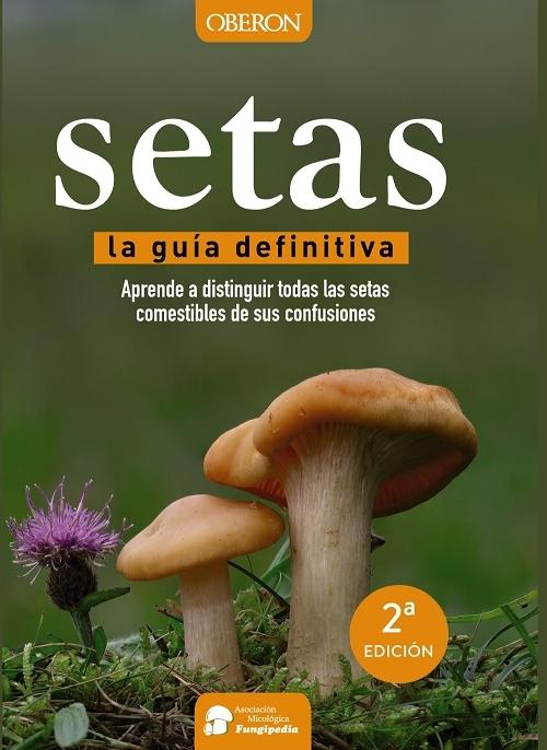 Setas "La guía definitiva"