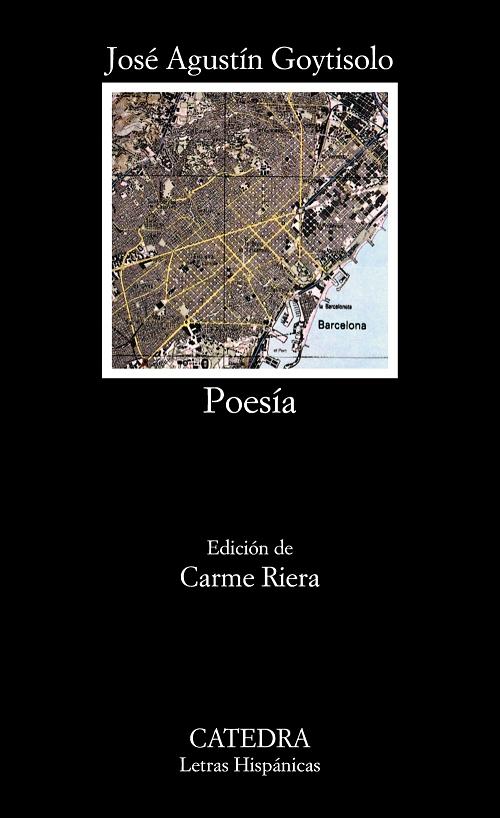 Poesía "(José Agustín Goytisolo)"