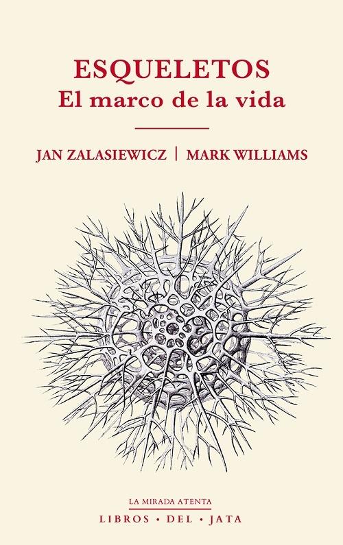 Esqueletos "El marco de la vida"