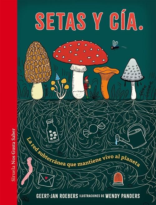 Setas y Cía. "La red subterránea que mantiene vivo al planeta"