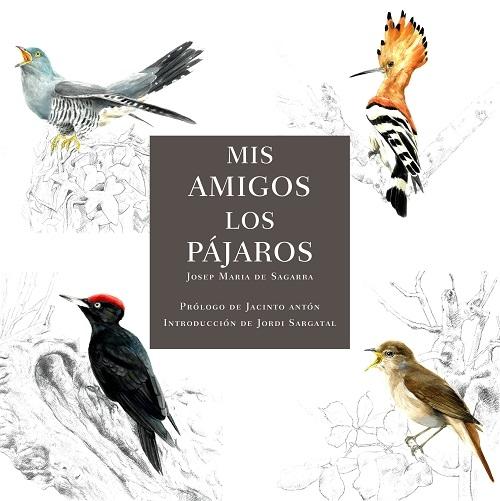 Mis amigos los pájaros