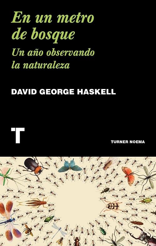 En un metro de bosque "Un año observando la naturaleza"