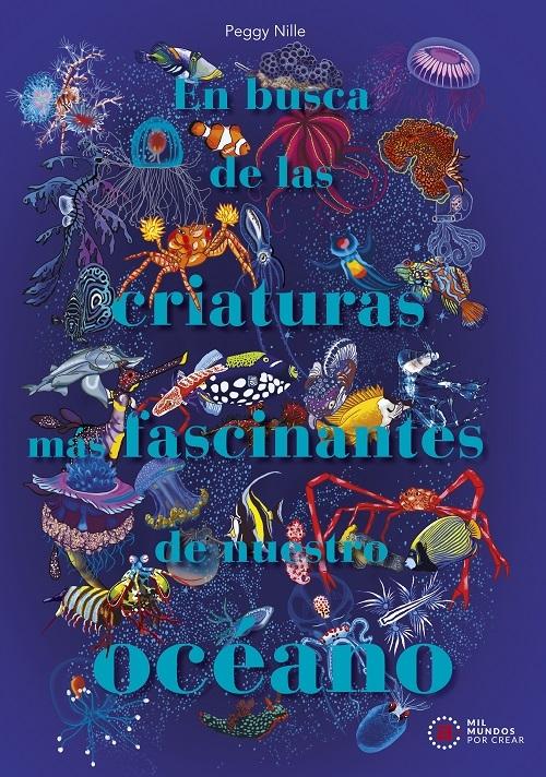 En busca de las criaturas más fascinantes de nuestro océano