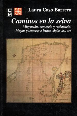 Caminos en la selva "Migración, comercio y resistencia. Mayas yucatecos e itzaes, siglos XVII-XIX"