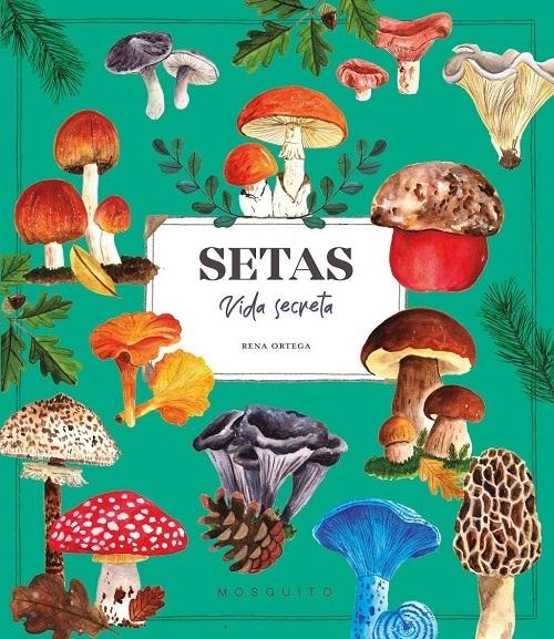 Setas "Vida secreta"