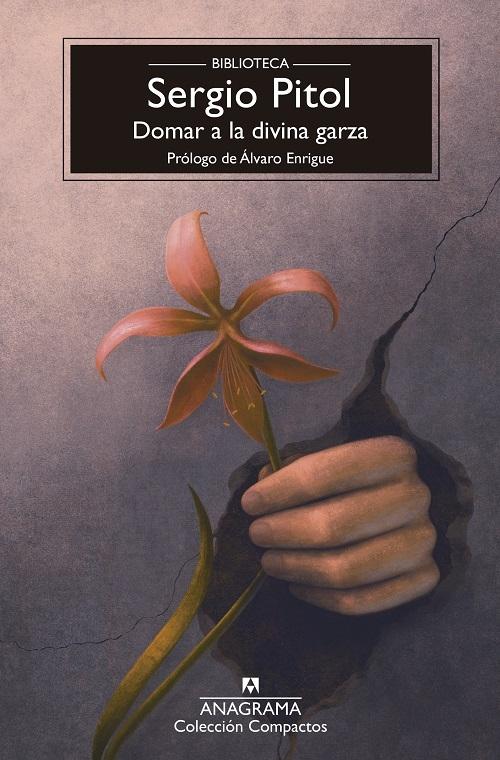 Domar a la divina garza "(Biblioteca Sergio Pitol)"