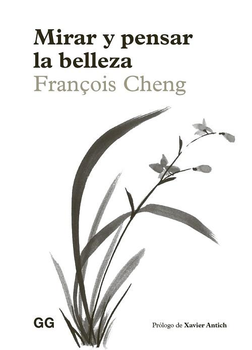 Mirar y pensar la belleza