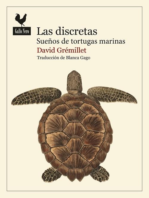 Las discretas "Sueños de tortugas marinas"